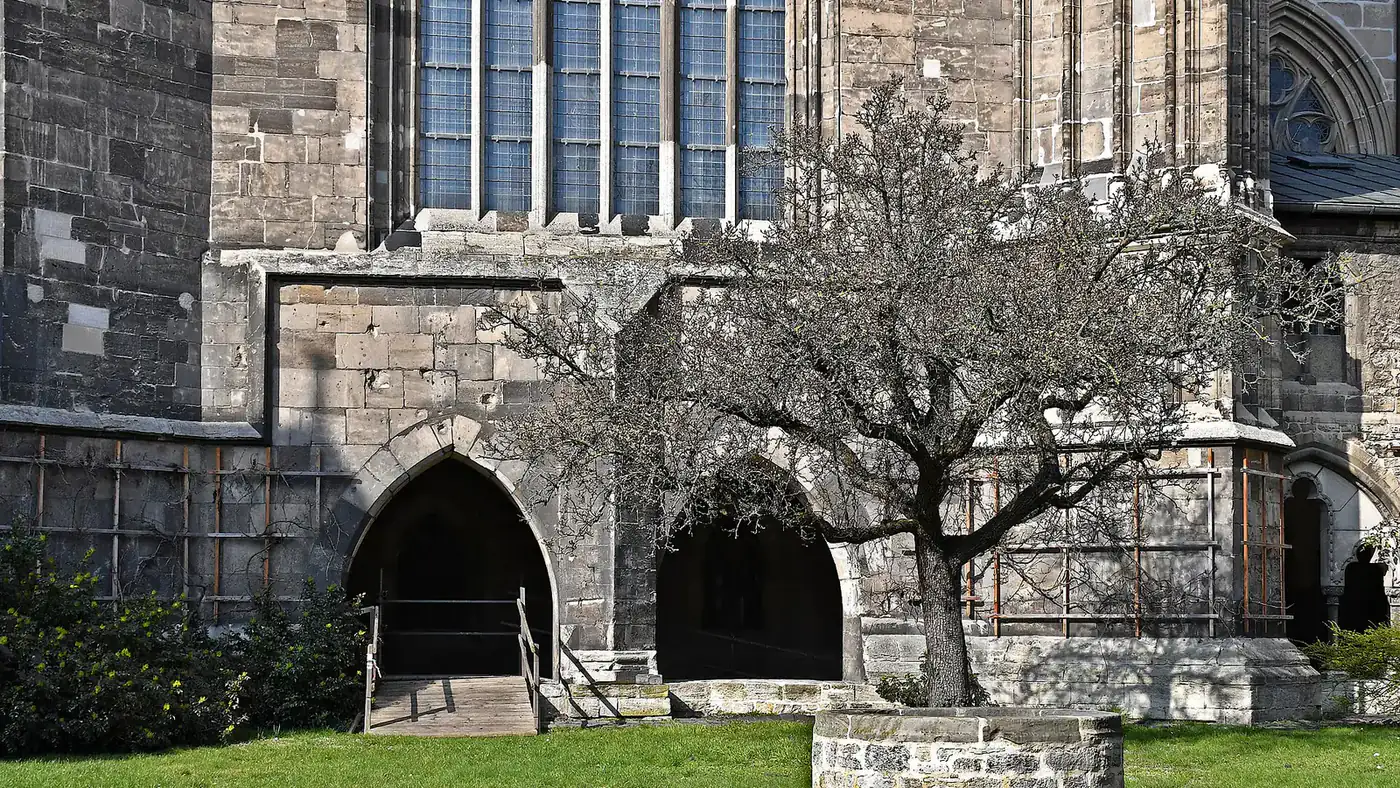 Halberstadt – Dom St. Stephanus und St. Sixtus