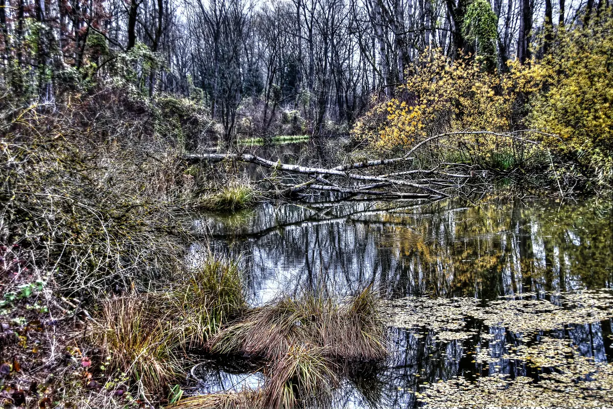 Olching, Flusslandschaft