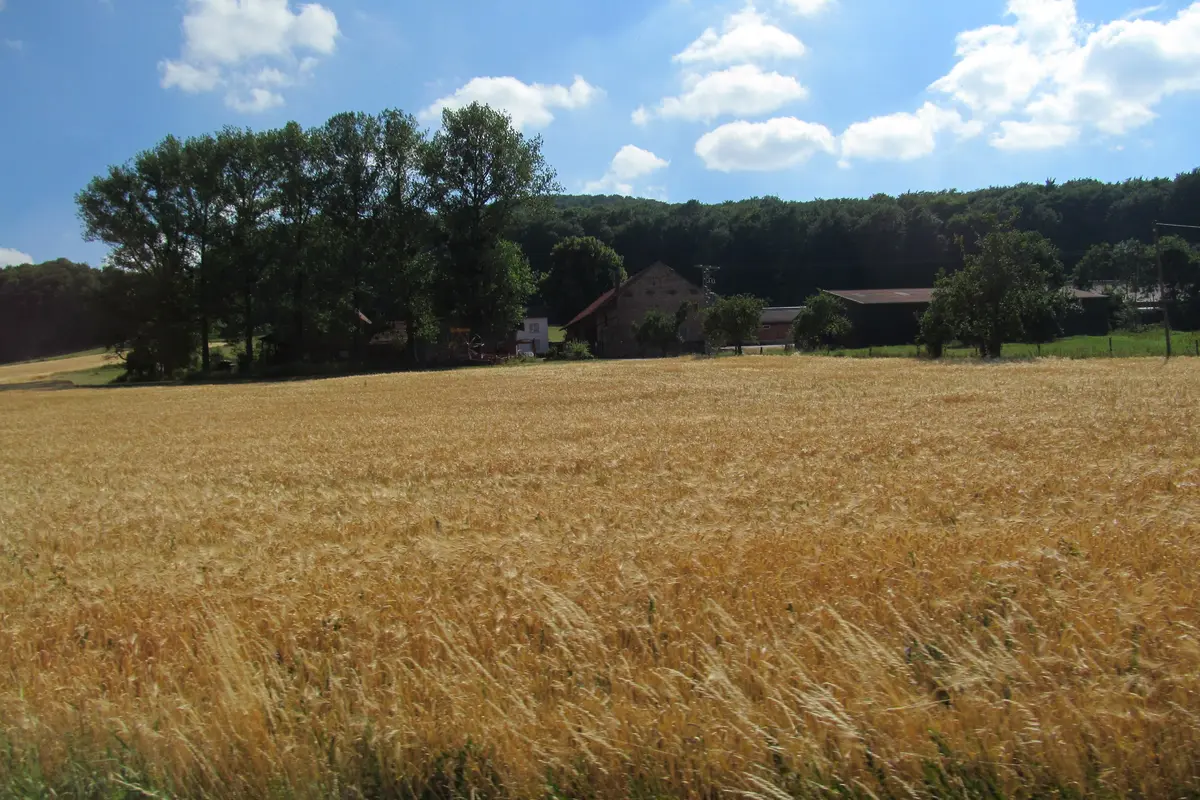 Schenklengsfeld und Umgebung